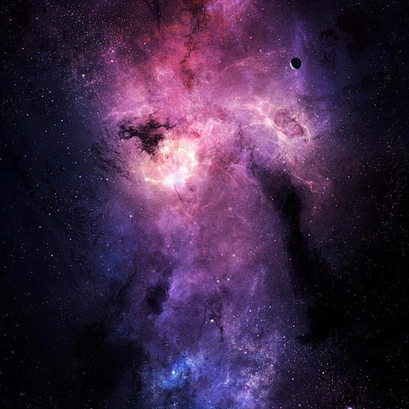 Meet your Posher, Shane - Picture 1 of 1